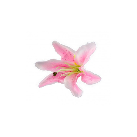 Sachet de 6 Fleurs tropicale rose fluo 13 x 12cm