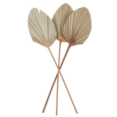 3 Feuilles de palme séchées naturelles éventail 60 x 15cm