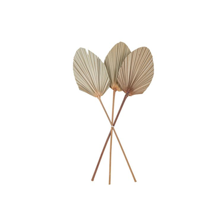3 Feuilles de palme séchées naturelles éventail 60 x 15cm