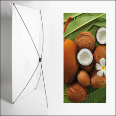 Kakemono Exotique Coco - 180 x 80 cm - Toile M1 avec structure X- Banner