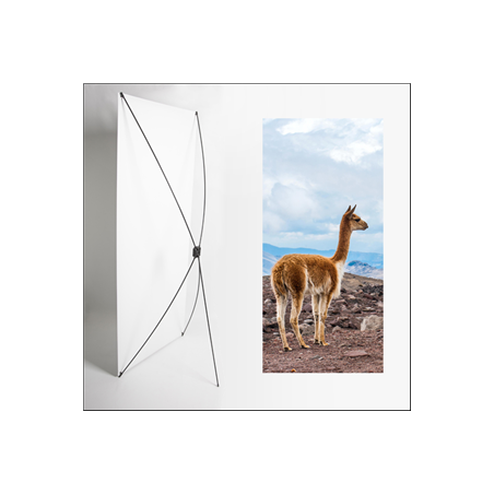 Kakemono AMS Lama - 180 x 80 cm - Toile M1 avec structure X- Banner