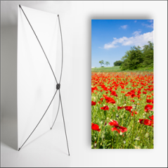 Kakemono Rouge Coquelicots - 180 x 80 cm - Toile M1 avec structure X- Banner