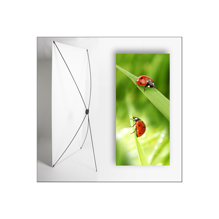 Kakemono Rouge Coccinelle - 180 x 80 cm - Toile M1 avec structure  X- Banner