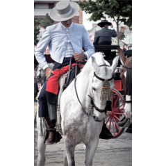 Affiche Cavalier espagnol - 50 X 85