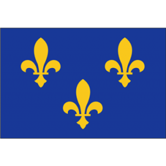 Drapeau Ile de France - tissu - 60 x 90cm