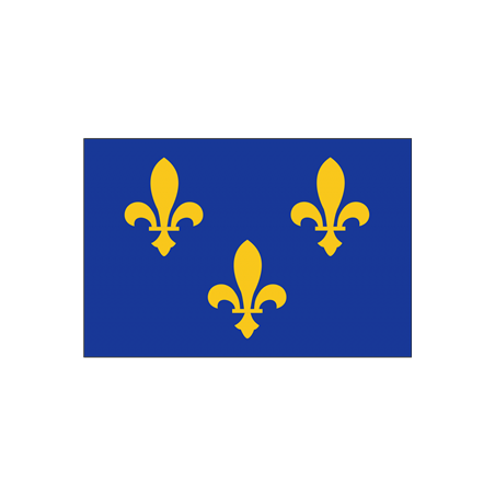 Drapeau Ile de France - tissu - 60 x 90cm