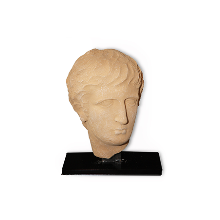 Tête antique - Résine - 30 x 24 x 15 cm