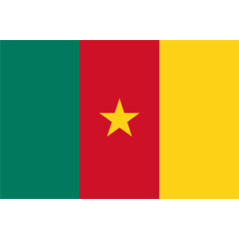 Drapeau Cameroun - tissu - 90 x 150cm
