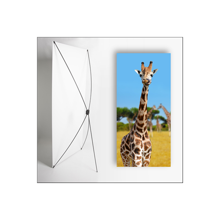 Kakemono Afrique Girafe - 180 x 80 cm - Toile M1 avec structure X- Banner