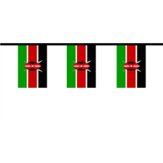 Guirlande Kenya 10 fanions 20 x 30cm - papier Long. 400cm
