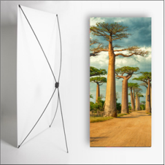 Kakemono Madagascar Baobab - 180 x 80 cm - Toile M1 avec structure X- Banner