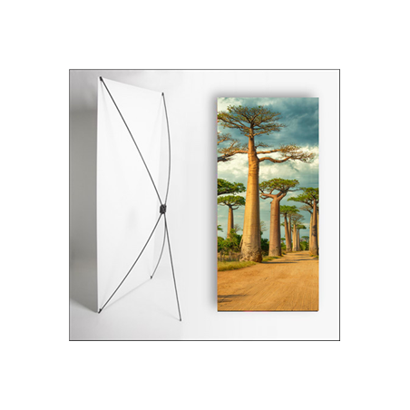 Kakemono Madagascar Baobab - 180 x 80 cm - Toile M1 avec structure X- Banner