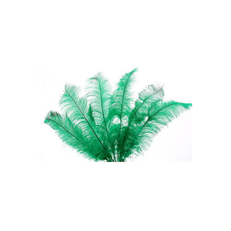 Lot de 5 plumes d'autruche - Long. 50cm (coloris aléatoire)