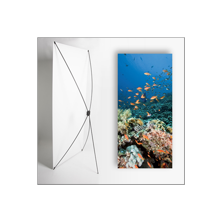 Kakemono Exotique Fond Marin - 180 x 80 cm - Toile M1 avec structure X- Banner