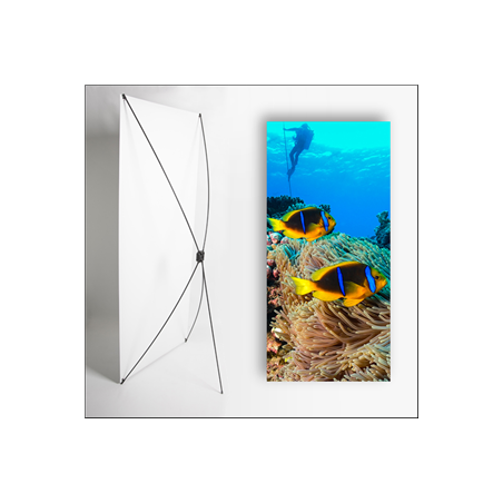Kakemono Exotique poisson - 180 x 80 cm sur Toile M1 avec structure  X- Banner
