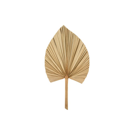 Feuille de palmier séchée naturelle éventail 64 x 34cm