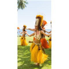 Kakemono Danseuse Polynésie - 180 x 80 cm - Toile M1 avec structure X- Banner