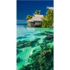 Kakemono Cabane pilotis - 180 x 80 cm - Toile M1 avec structure X- Banner