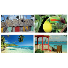 Mobiles Exotique x4 - carton - 27 x 49cm