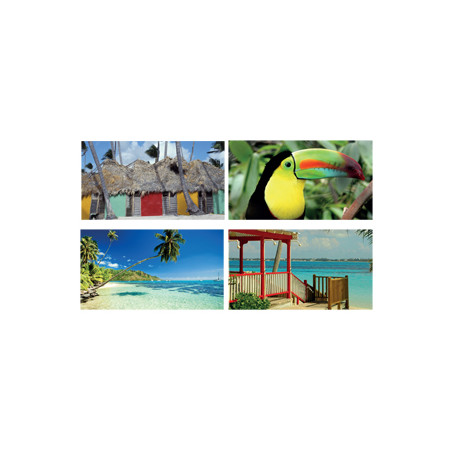 Mobiles Exotique x4 - carton - 27 x 49cm