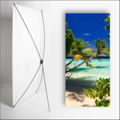 Kakemono Exotique Palmier - 180 x 80 cm sur Toile M1 avec structure X- Banner