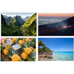 Mobiles La Réunion x4 - carton - 27 x 49cm