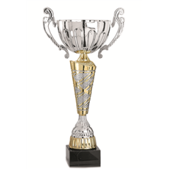 Coupe des champions or et argent - Haut. 37 cm