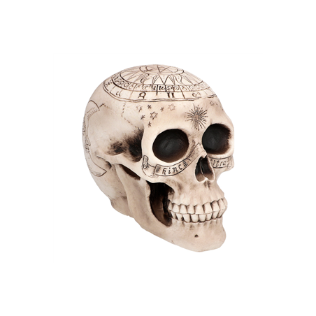 Tête de mort astronomy plastique 14 x 20cm