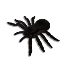 Mygale velours noir 20 x 14cm