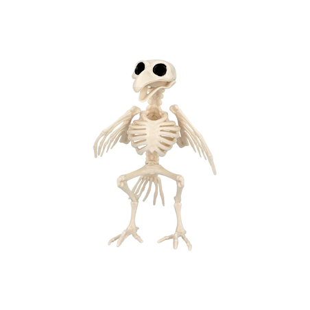 Squelette d'oiseau - Haut. 20cm