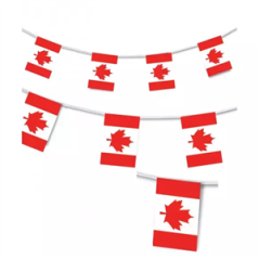 Guirlande drapeaux Canada 8 pavillons 20 x 30cm - PLASTIQUE/ Long. 4 m