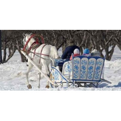 Affiche traîneau recto verso 80 x 40 cm PVC M1*