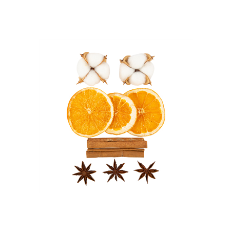 Assortiment 10 pièces fleurs de coton, cannelle, anis, oranges séchées 4 à 8cm