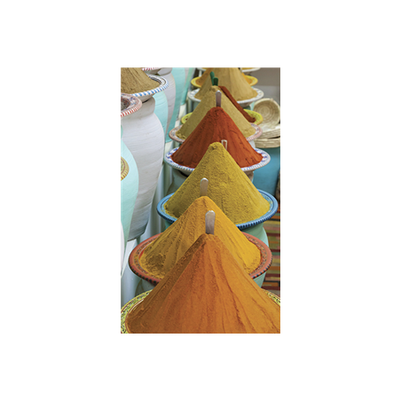 Kakémono Oriental Epices 80 x 180 sur Toile M1 / avec structure  X- Banner