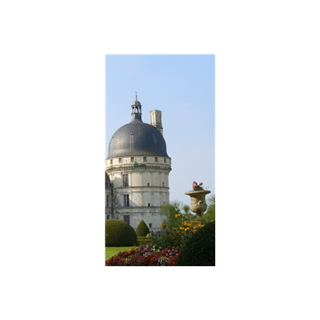 Kakémono Chateau de valencay  - 80 x180 - Toile M1 / avec structure  X- Banner