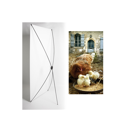 Kakemono Poules Automne - 180 x 80 cm - Toile M1 avec structure X- Banner