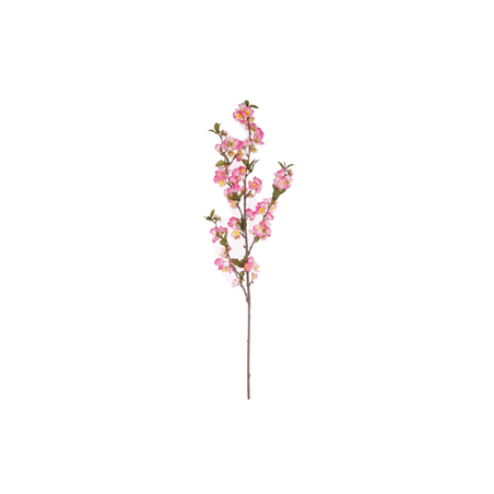 Branche de pommier - Long. 90cm