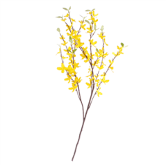 Branche de forsythia - Long. 120cm (fleurs artificielles sur 70cm)