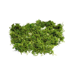 Mousse végétale naturelle semi-sèche 50g