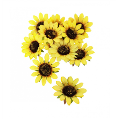Sachet de 12 tournesols - polyester - 1,5 cm x 8 cm
