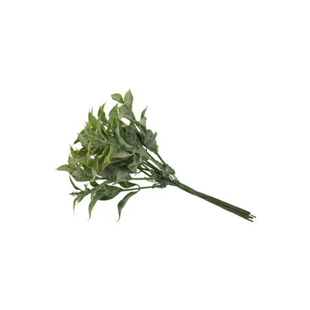 Bouquet de 10 mini branches de sauge verte givré - Haut. 15cm