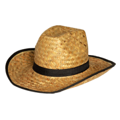 Chapeau de paille américain