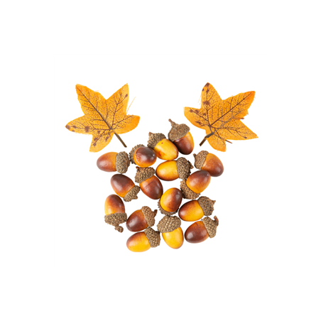 Sachet de glands et feuilles d'automne 2,5cm