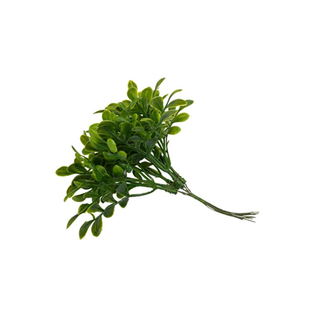 6 mini branches de Basilic vert sur tige - Haut. 15cm