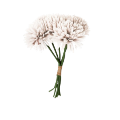 Bouquet de 6 dahlias blanc - Haut. 26cm