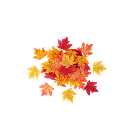 50 Feuilles d'Érable Dégradé de Couleurs Automnales 9x10cm