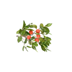 Branche Oranger artificiel - Haut. 60cm