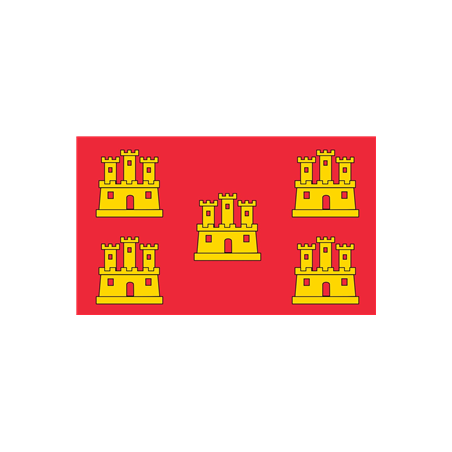 Drapeau Poitou-Charentes - tissu - 60 x 90cm