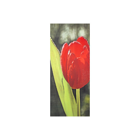Kakémonos tulipe  + support - tissu - 75 x 180 cm*