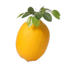 Citron géant - polystyrène - H. 32cm